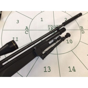 Gamo Vernari Tactical Package .22